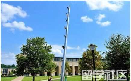 美国助产护理专业院校推荐 俄勒冈健康科学大学