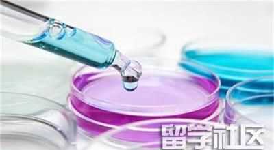 曼彻斯特大学发育生物学与现代语言专业简介