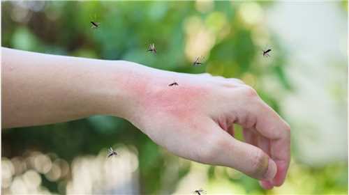  贴纸和腕带不是防止蚊子叮咬的可靠方法。原因如下
