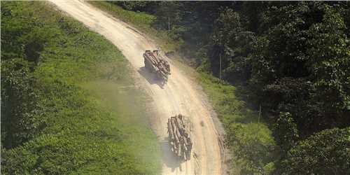  东南亚的鬼路加速了自然的破坏