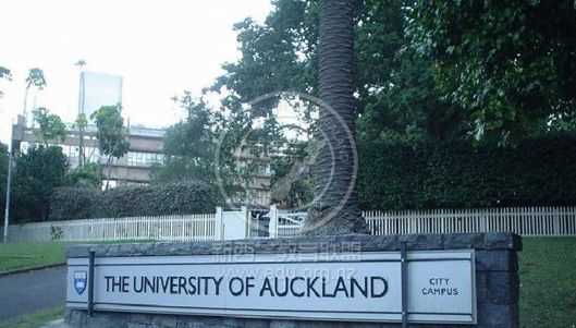 新西兰留学 奥克兰大学的幼儿教育学士学位的优势 