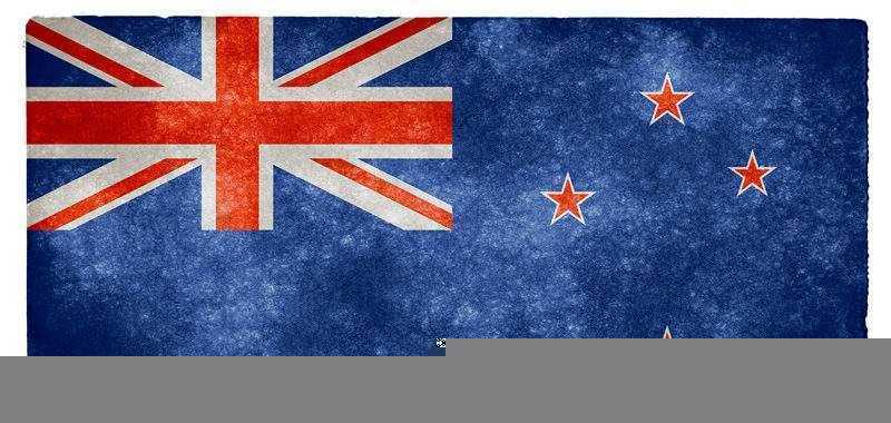 新西兰访问学者办理签证需要哪些材料 
