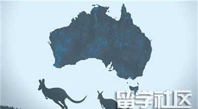 澳洲除了袋鼠还有什么有趣的东西