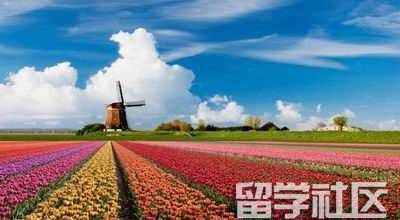 荷兰留学优势一览表 赴荷留学有哪些优势 
