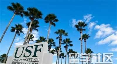 美国南佛罗里达大学有哪些专业？